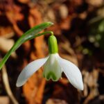 Minimalismus v interiéru: Jak vybrat správná okna pro moderní bydlení