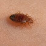 Šachy v kanceláři: neobvyklý nástroj pro rozvoj týmu